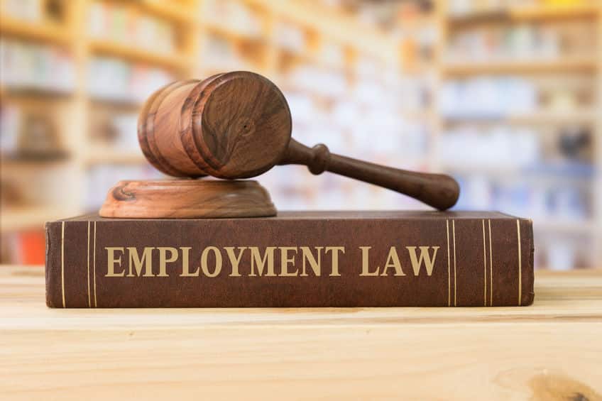 employment law books and a gavel on desk in the library